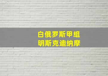 白俄罗斯甲组 明斯克迪纳摩